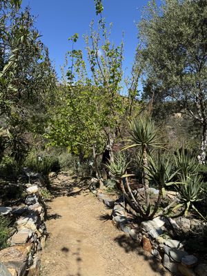  Botanical Garden of Crete  at Botanical Garden of Crete Restaurant in Crete