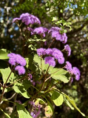  Botanical Garden of Crete  at Botanical Garden of Crete Restaurant in Crete