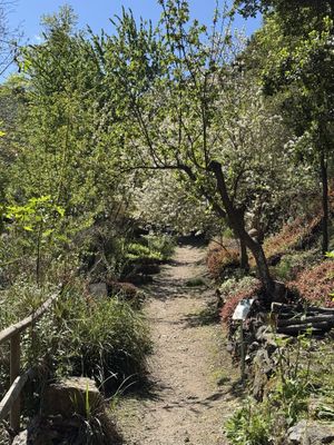  Botanical Garden of Crete  at Botanical Garden of Crete Restaurant in Crete