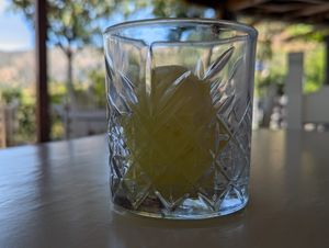lemon sorbet at Botanical Garden of Crete Restaurant in Crete