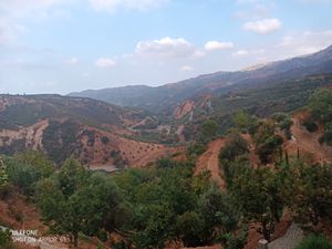 View from above at Botanical Garden of Crete Restaurant in Crete