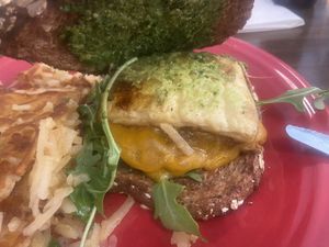   at Hen House Eatery in Minneapolis