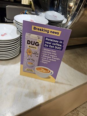  at Kafé Plattan in Stockholm