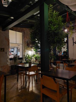  at PINGRUMBA in Budapest