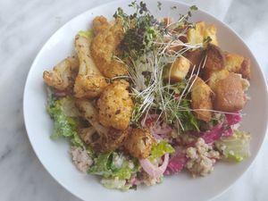 Large Bowl at Plant Food in Aarhus