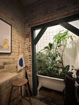 Cute and cosy   at Plant Food in Aarhus