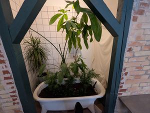  at Plant Food in Aarhus