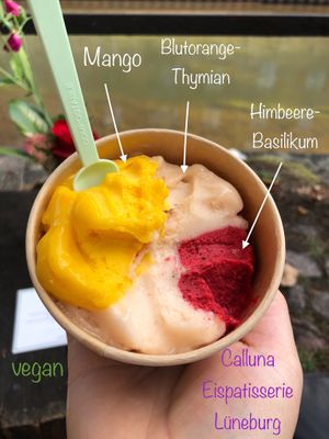Many vegan options with unusual tastes.  at Calluna Eispatisserie in Lueneburg