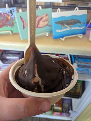 Choc and vanilla twist soft serve with  chocolate magic shell at Like No Udder in Providence