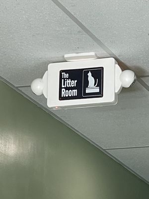 😂😂 at Like No Udder in Providence