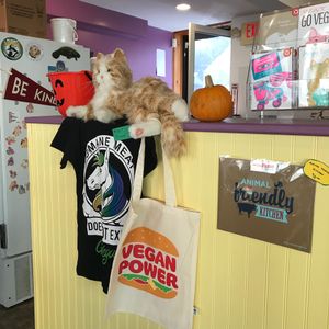 Vegan swag at Like No Udder in Providence