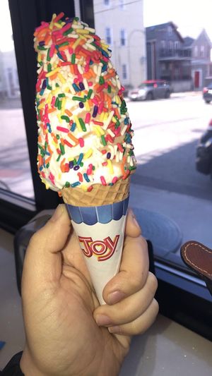 Vegan soft serve   at Like No Udder in Providence