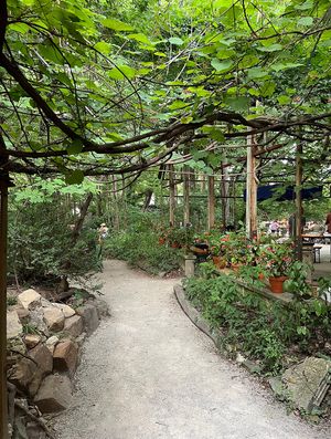 Kentucky Native Cafe - ambience 😍  at Kentucky Native Cafe in Lexington