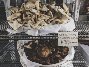 . at New Hope Market in Chapel Hill