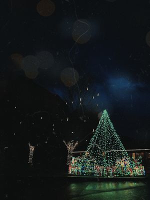 Spring Sale, UT #Veganuary at FeelLove Coffee in Springdale