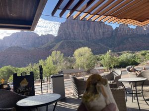 Vegan breakfast burrito!  at FeelLove Coffee in Springdale