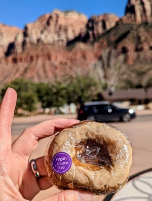Vegan donuts! at FeelLove Coffee in Springdale