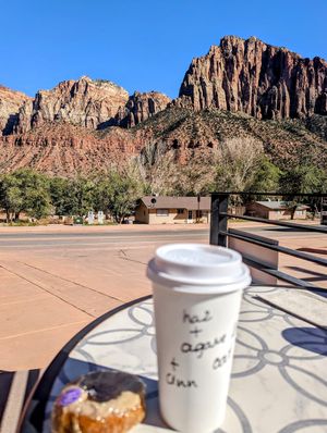 That patio view 😍 at FeelLove Coffee in Springdale