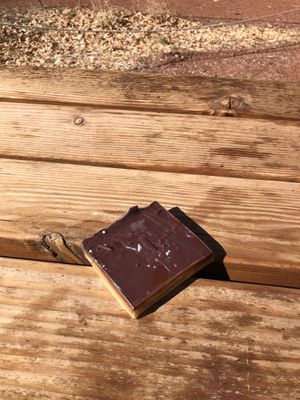  at FeelLove Coffee in Springdale