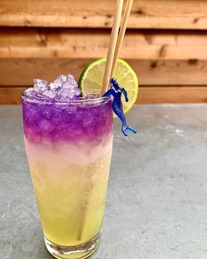 . at North Light in Oakland