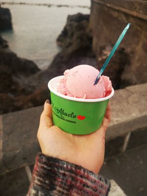 Tiene bastante variedad de helados veganos ❤️😍 at Heladeria El Abuelo in Tenerife
