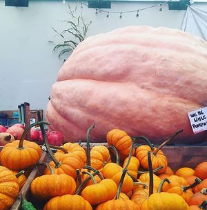 fall at Monterey Market in Berkeley