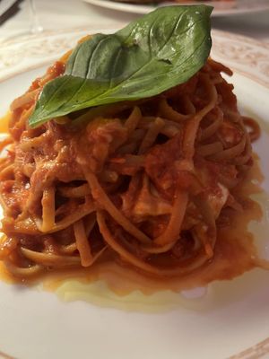 Vegetarian.  Lentil pasta Sorrento style- red sauce with a lot of mozzarella. basil leaf.  at Ciro and Sons in Florence