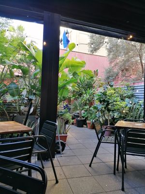 Interior patio at Vrutal - Poblenou in Barcelona