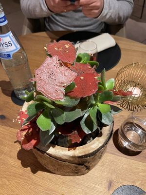   at Fields  in Luxembourg City