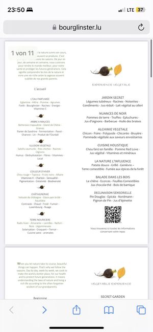   at Fields  in Luxembourg City