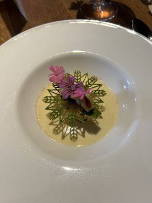   at Fields  in Luxembourg City