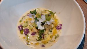  at Fields  in Luxembourg City