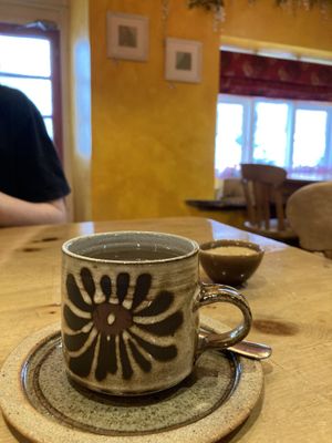   at The Nut and Nettle in Bridlington