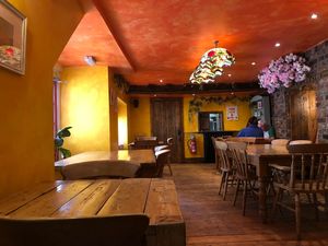 Funtastic interior decor!  at The Nut and Nettle in Bridlington