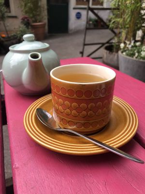   at The Nut and Nettle in Bridlington