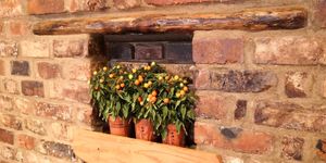 Interior at The Nut and Nettle in Bridlington
