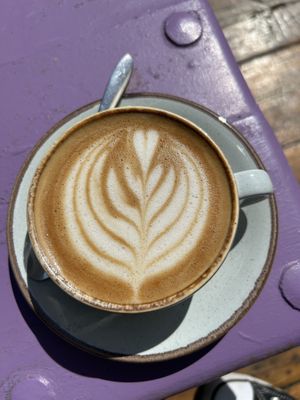   at The Nut and Nettle in Bridlington