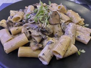   at Hippocampus in Protaras