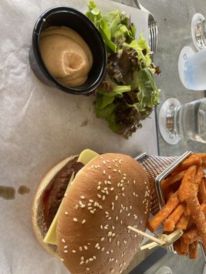   at Hippocampus in Protaras