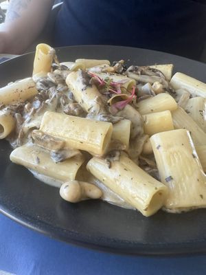 Mushroom rigatonii  at Hippocampus in Protaras