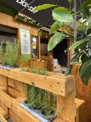   at Etyok Vegan Kebab in Nuremberg