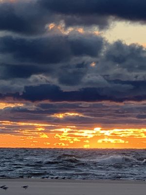 Sunsets are gorgeous  at Plant Life Journey Retreats in South Haven