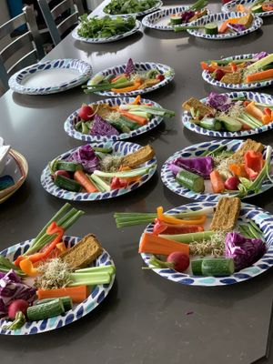 Preparing for our Spring Roll party 🎉   at Plant Life Journey Retreats in South Haven