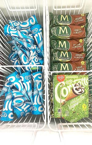 Has a fridge section with vegan ice cream. at Bites7060 in Larnaca