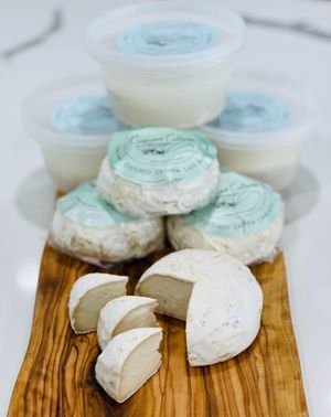 Vegan cheese at Vegunti in Morganville