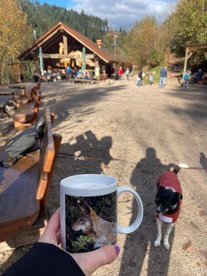 Aussenbereich at Bistro Bärenblick in Bad Rippoldsau Schapbach