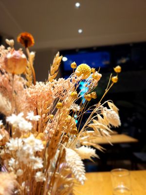  at Hummelbude in Essen