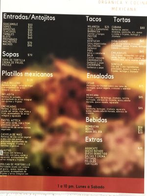 Menu at Plantivoros in Playa Del Carmen