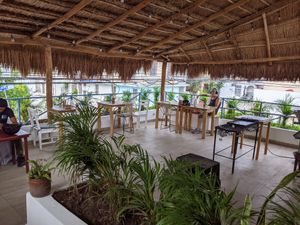 The terrace at Plantivoros in Playa Del Carmen