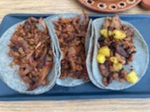 Tacos plate, choose from different flavors at Plantivoros in Playa Del Carmen